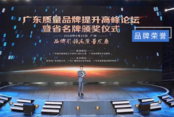 坚守品质19年，开云手机入口集团蝉联广东省名牌产品！