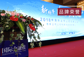 频频获奖，开云手机入口再获2018中国新上市公司商业模式先锋奖